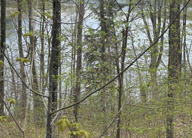Property at Lot 11 Hardwood Dr Unit 11.4 ac, Alba, MI 49611