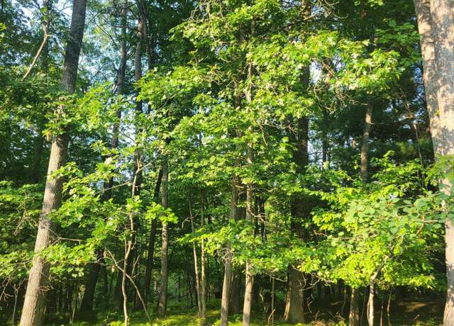 Property at Lot 19 Fenwood, Prudenville, MI 48651