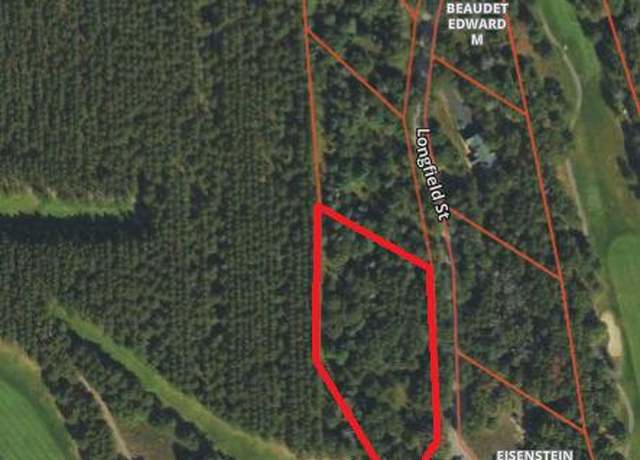Property at Lot 13 Longfield St, Lewiston, MI 49756