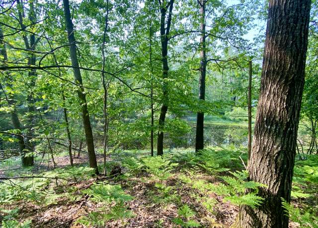Property at 1086, 1087 Michaywe Dr Lot 1086,1087, Gaylord, MI 49735