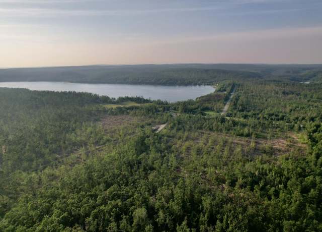 Property at 1308 S Magee Rd, Vanderbilt, MI 49795