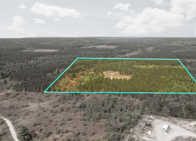Property at Lynn Lake Rd Unit 40 ACRES, Frederic, MI 49733