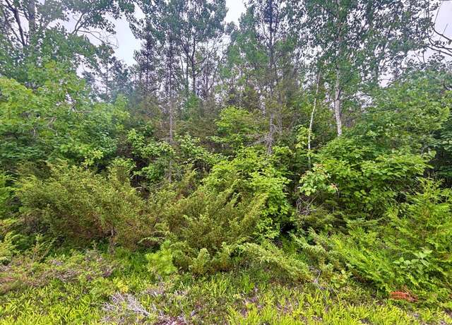 Property at Lot 41 Misty Morning Ct, Presque Isle, MI 49777