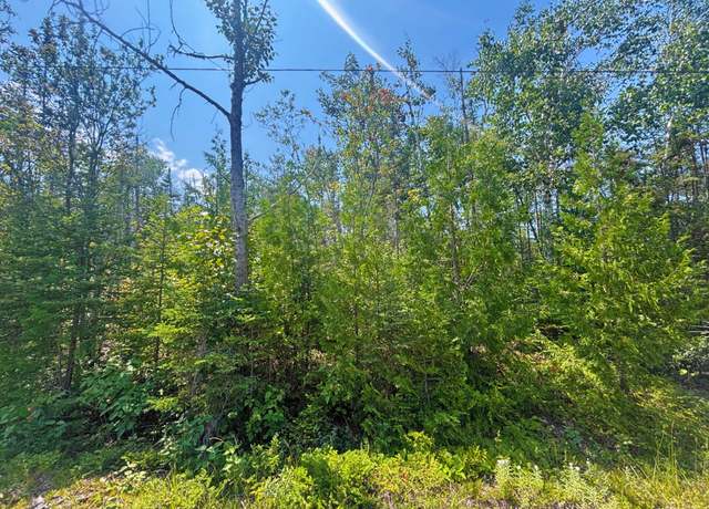 Property at Lot 64 North Bay, Presque Isle, MI 49777