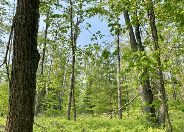 Property at Lot 1827 Sandpiper Trl, Gaylord, MI 49735