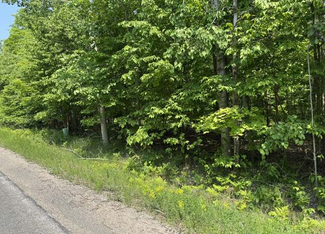 Property at 2199 Mann Rd, Cheboygan, MI 49721