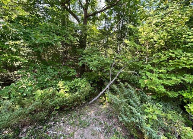 Property at NHN Renwick Cir, Presque Isle, MI 49777