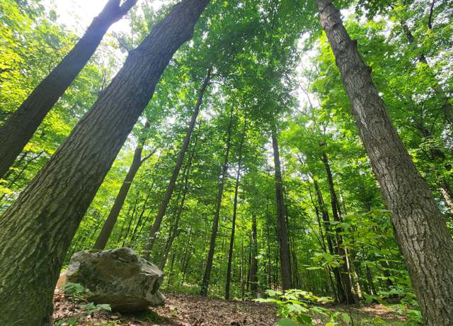 Property at Rogers & M72 Rd, Fairview, MI 48621