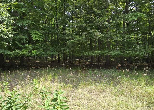 Property at 33 Mt. Vernon Hills Rd, Vanderbilt, MI 49795