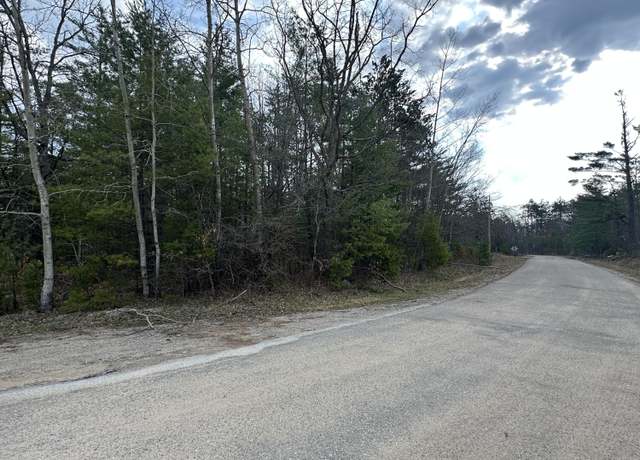 Property at Lots A-D Co Rd 489, Lewiston, MI 49756