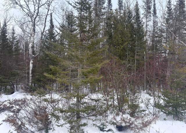 Property at Lot 338 County Rd. 638, Presque Isle, MI 49777