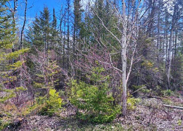 Property at Lot 338 County Rd. 638, Presque Isle, MI 49777