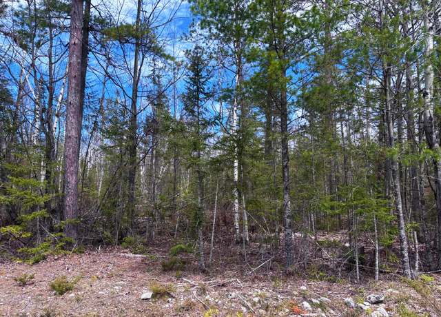 Property at Lot 241 Kauffman Rd, Presque Isle, MI 49777
