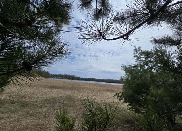 Property at off Mccollum Lake Rd, Curran, MI 48728