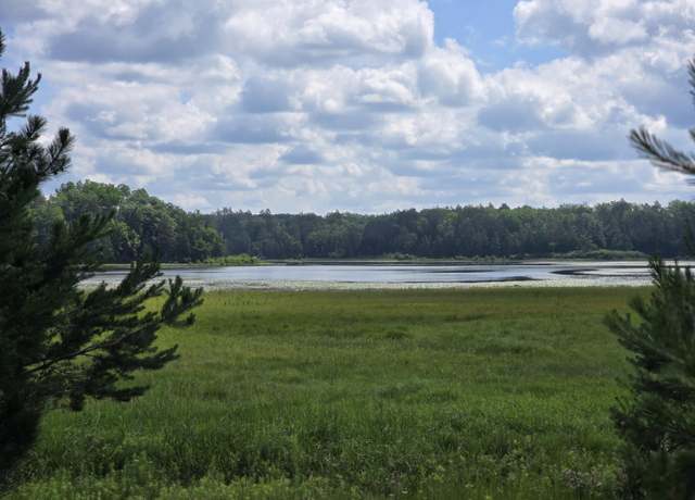 Property at off Mccollum Lake Rd, Curran, MI 48728