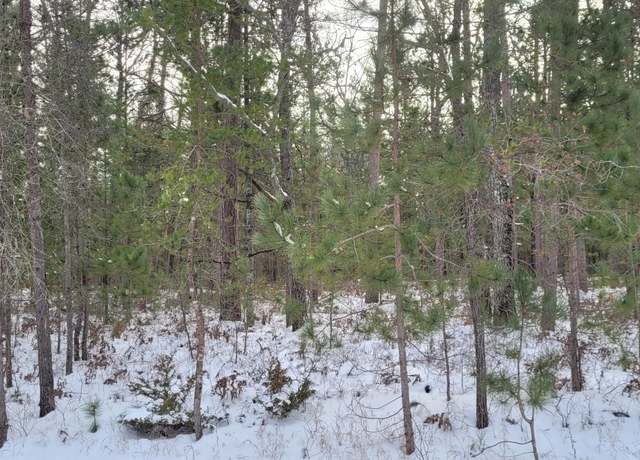 Property at Chippewa Trl, Rogers City, MI 49779