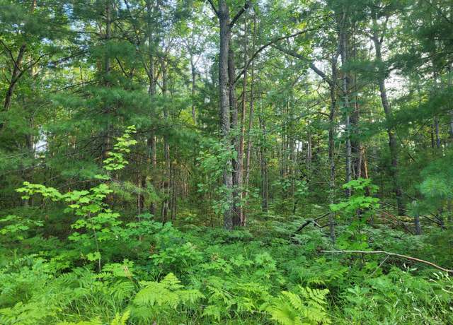 Property at LOT 23 Apache Trl, Rogers City, MI 49779