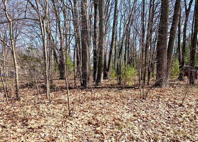 Property at Lots 55-56 E Houghton Lake Dr, Houghton Lake, MI 48629