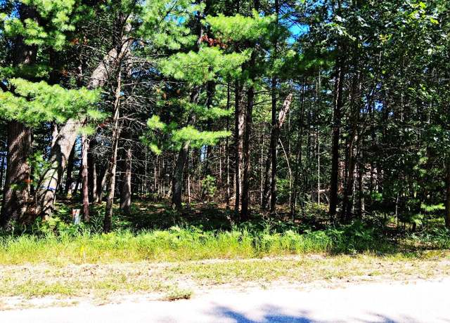 Property at Lot 21 W Nestel Rd, Prudenville, MI 48651