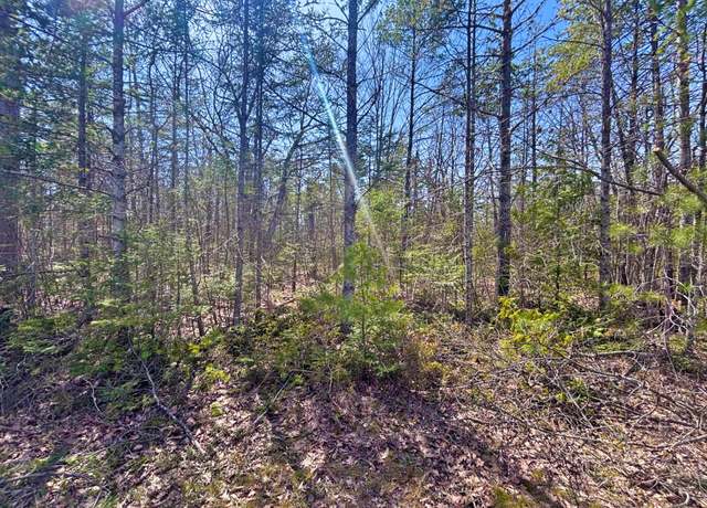 Property at Lot 375 Kauffman Rd, Presque Isle, MI 49777