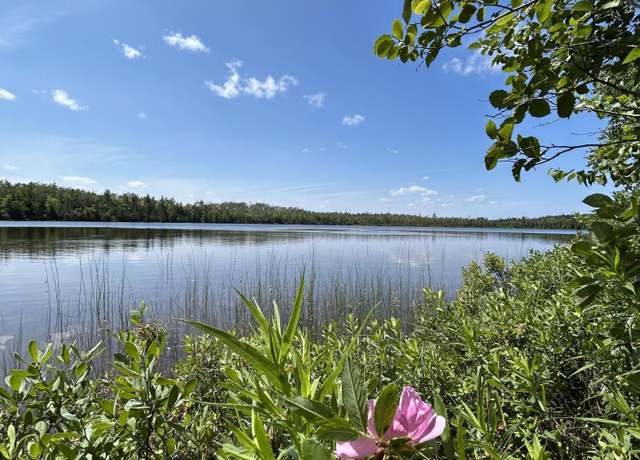 Property at 9840 Ocqueoc Lake Rd, Millersburg, MI 49759