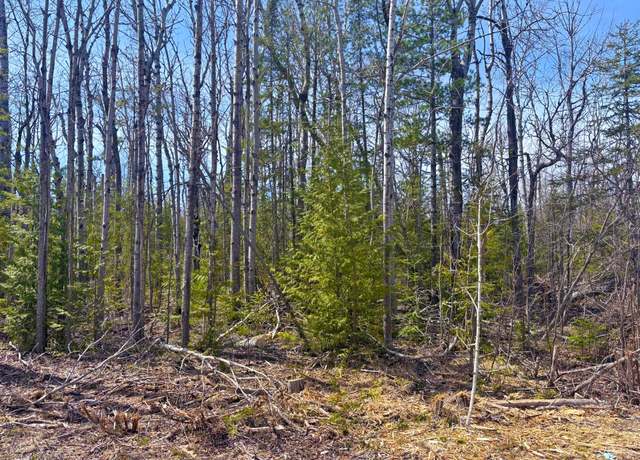 Property at Lot 312 Pineview Dr, Presque Isle, MI 49777