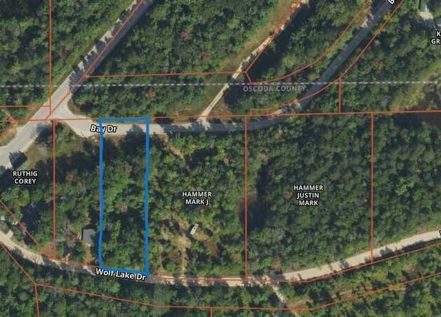 Property at 4196 Wolf Lake Dr Lot 3 LAKE ACCESS LOT, Lewiston, MI 49756