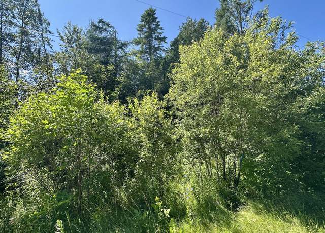 Property at 14371 Stoney Pointe Rd, Cheboygan, MI 49721