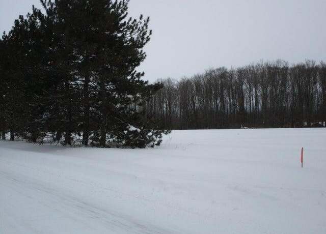 Property at Mcmichael Rd, Alanson, MI 49706
