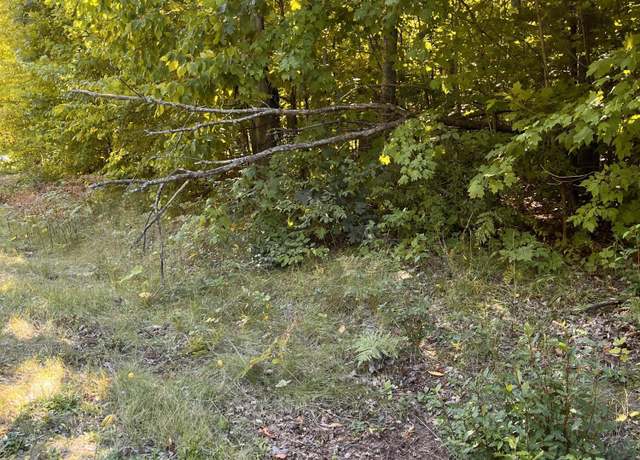 Property at Deerfield Dr, Grayling, MI 49738