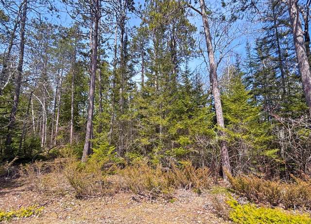 Property at Lot 47 Firhaven Ct, Presque Isle, MI 49777