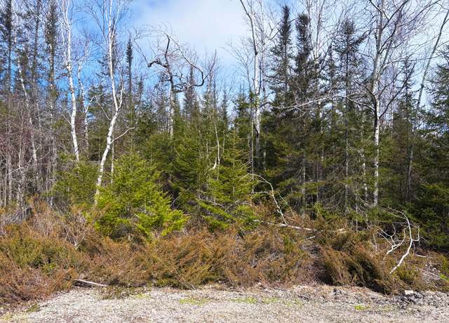 Property at Sylvan Ct Lot 48 & 49, Presque Isle, MI 49777