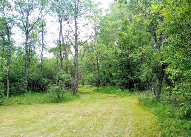 Property at 11858 Four Point Rd, Fife Lake, MI 49633