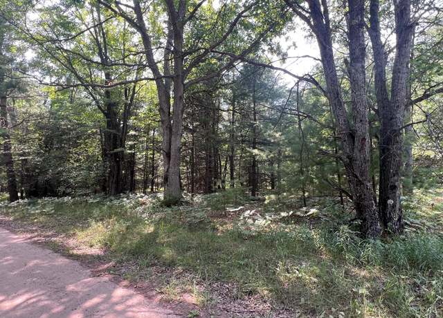 Property at 80 AC N Everett Rd, Roscommon, MI 48653