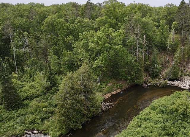 Property at Wilson Rd, Indian River, MI 49749