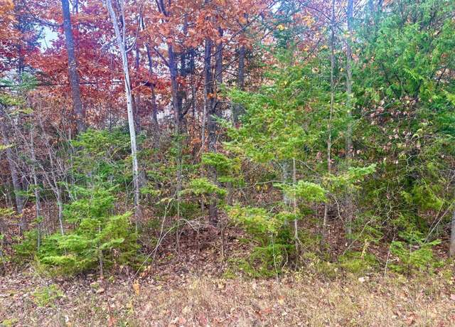 Property at Lot 45 Pine St, Presque Isle, MI 49777