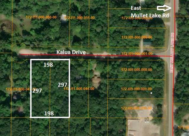 Property at 4593& 4613 Kalua Dr, Indian River, MI 49749