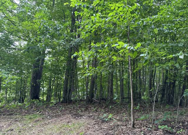 Property at 4935 Woodman Rd, South Boardman, MI 49680