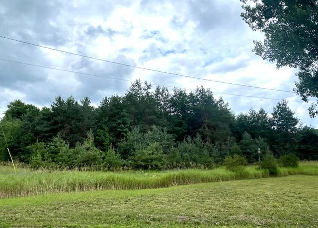 Property at 1.6 ACRES Woodward Ave, Elmira, MI 49730