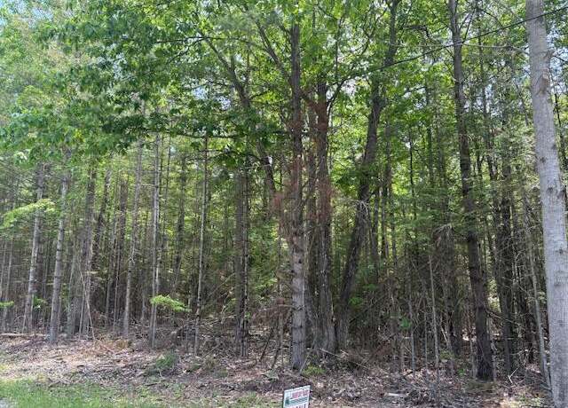 Property at 446&447 E CO RD 638, Presque Isle, MI 49777
