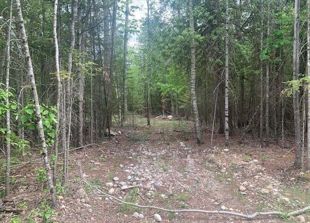 Property at 6680 Gilmet Circle Dr, Presque Isle, MI 49777