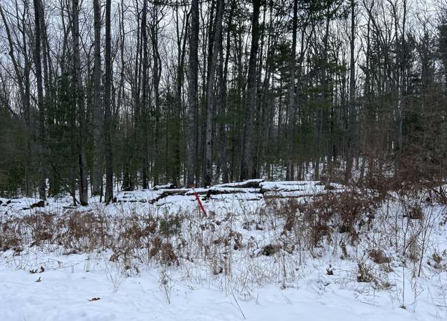 Property at 551 Robin Hood Dr, Hubbard Lake, MI 49747
