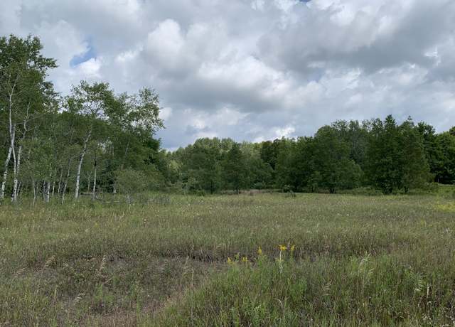 Property at Old Mackinaw Trl, Boyne Falls, MI 49713
