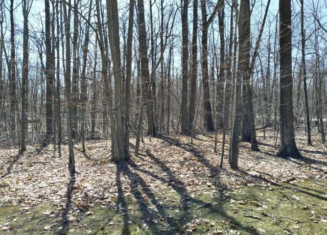 Property at Lot 65 Louise Cir, Elmira, MI 49730