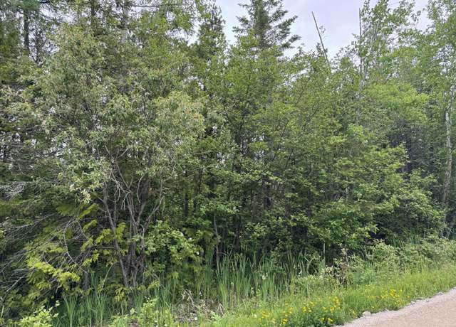 Property at 9 acres Brevort Lake Rd, Moran, MI 49760