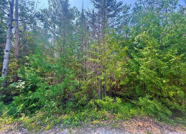 Property at Lot 73 Timberway Dr, Presque Isle, MI 49777
