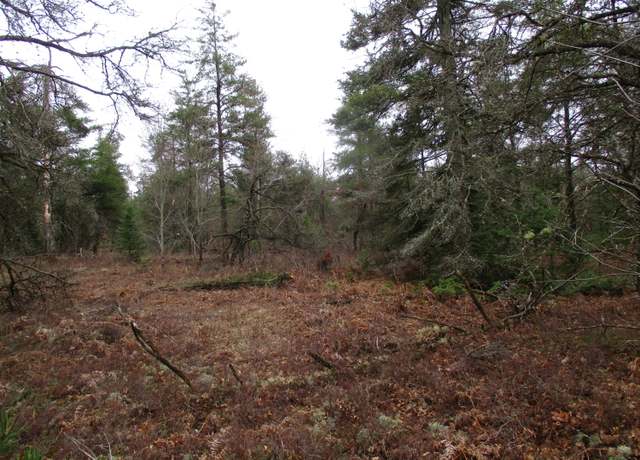 Property at 1604 Valhalla, Grayling, MI 49738