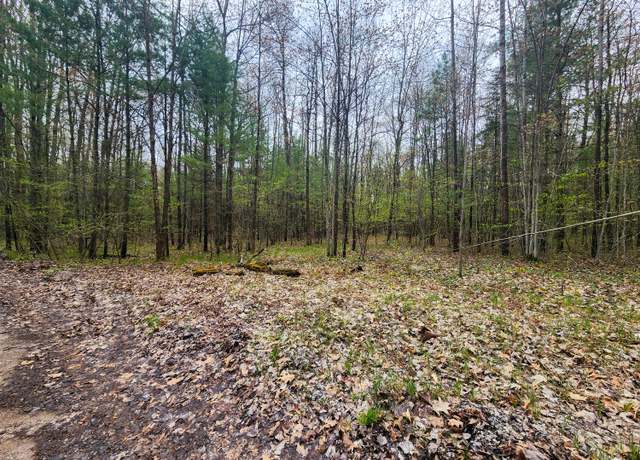 Property at Orwin St, Topinabee, MI 49791