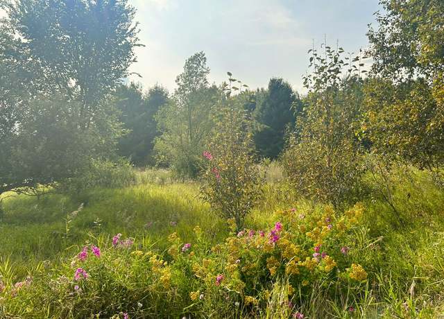 Property at Rust Rd Lot 12, Hillman, MI 49746