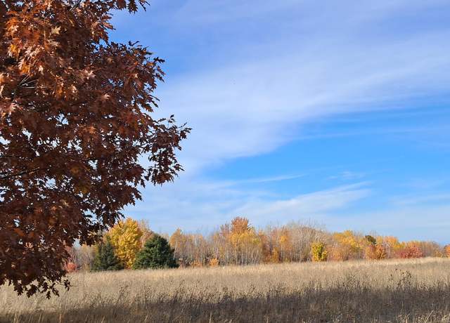 Property at TBD Mullett View Dr, Cheboygan, MI 49721